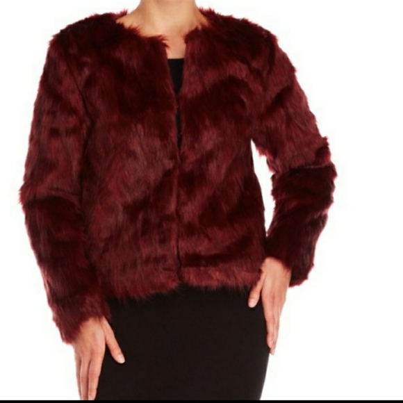 Romeo & Juliet Couture Jackets & Blazers - Romeo & Juliet